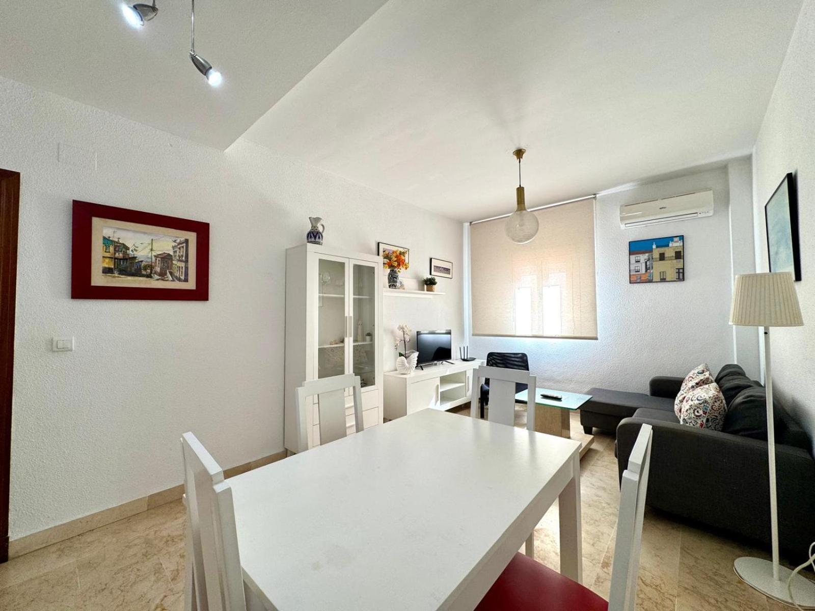 Apartament El Albaicin, Living Sur *